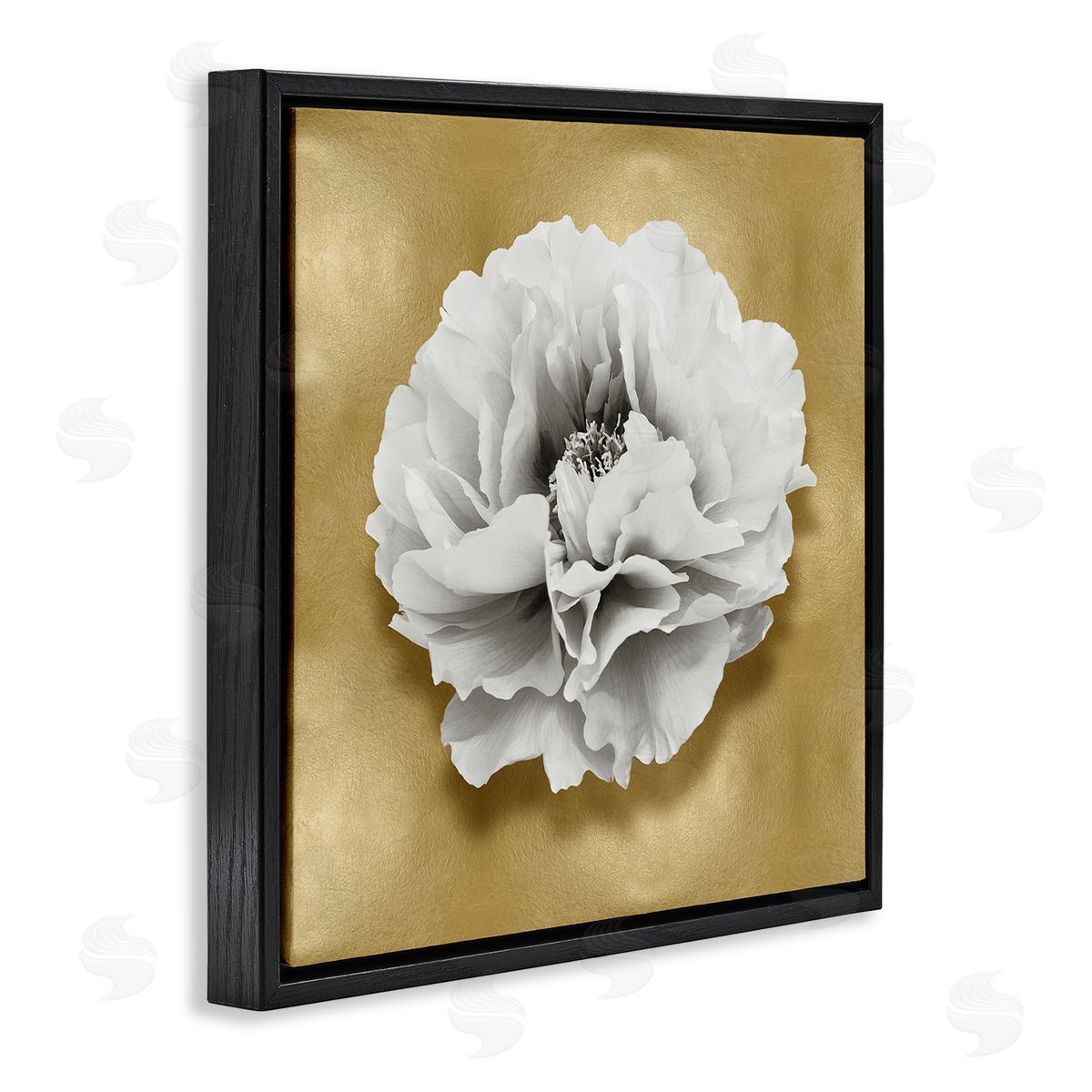 Caroline Kelly | White Peony on Gold
