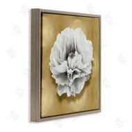 Caroline Kelly | White Peony on Gold