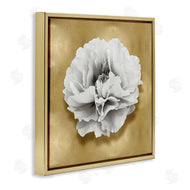 Caroline Kelly | White Peony on Gold