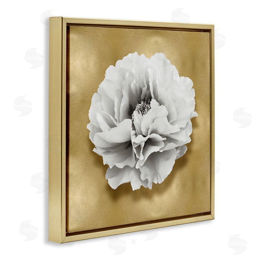Caroline Kelly | White Peony on Gold