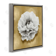 Caroline Kelly | White Peony on Gold