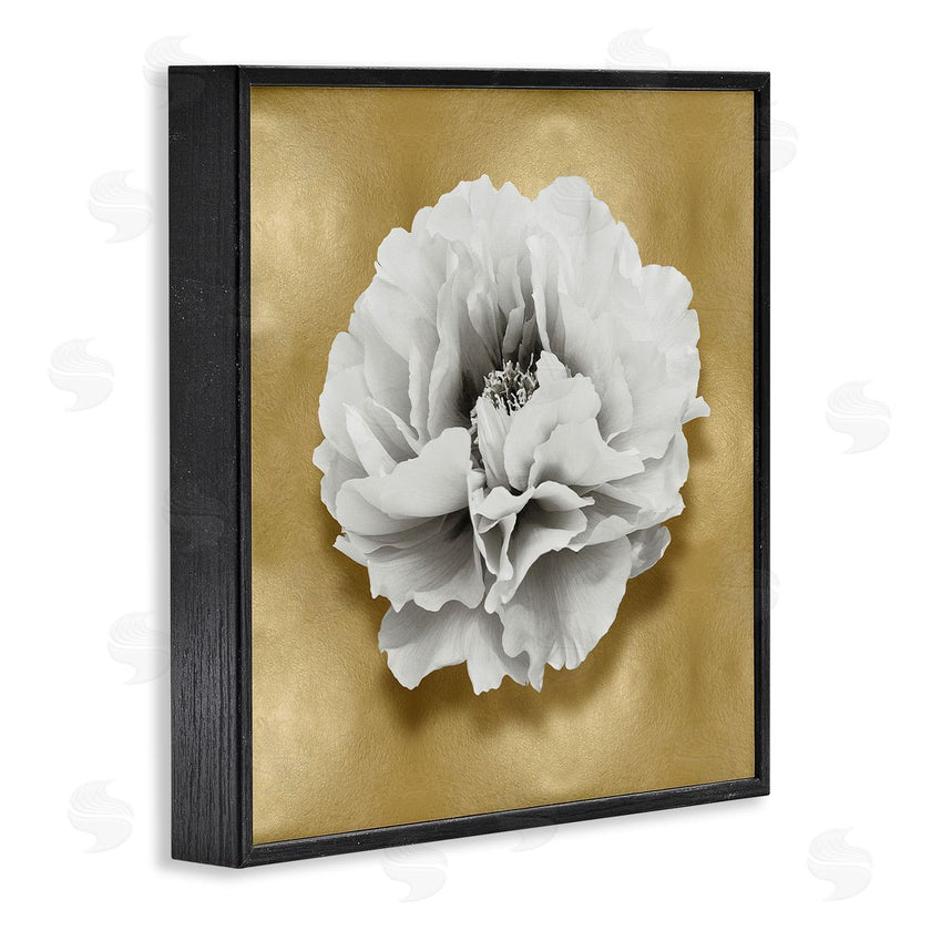 Caroline Kelly | White Peony on Gold
