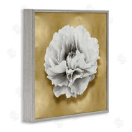 Caroline Kelly | White Peony on Gold