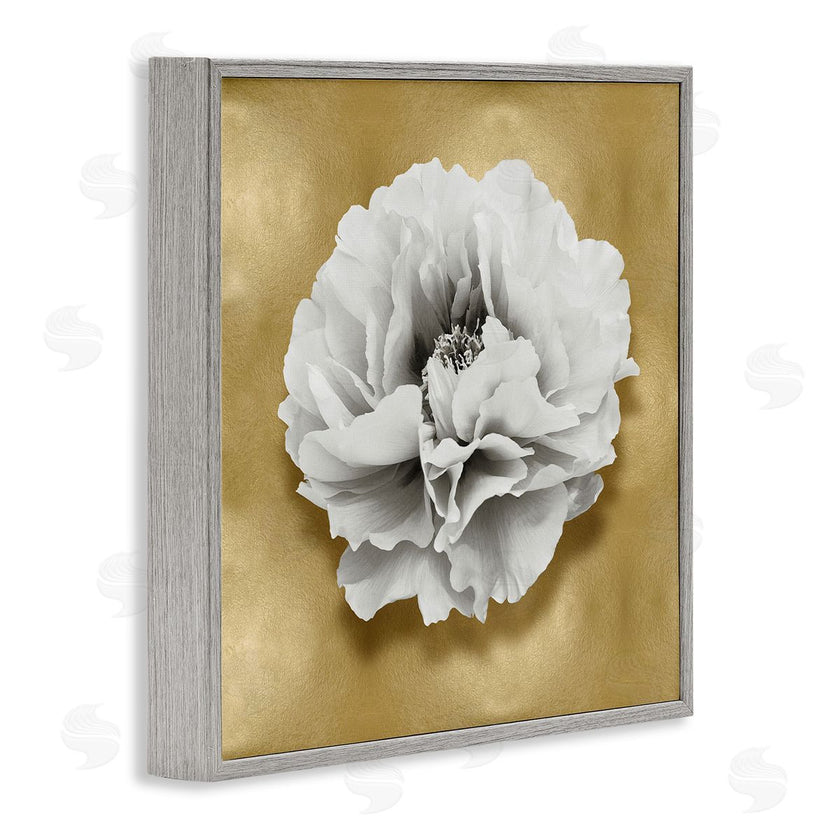 Caroline Kelly | White Peony on Gold