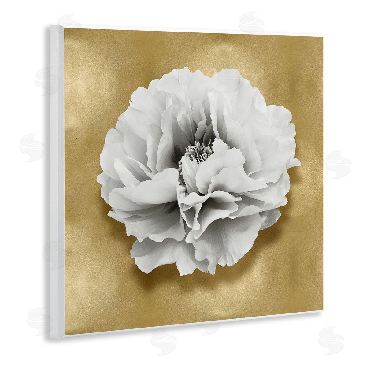 Caroline Kelly White Peony on Gold Wall Plaque Artside_