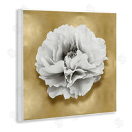 Caroline Kelly | White Peony on Gold