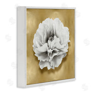 Caroline Kelly | White Peony on Gold