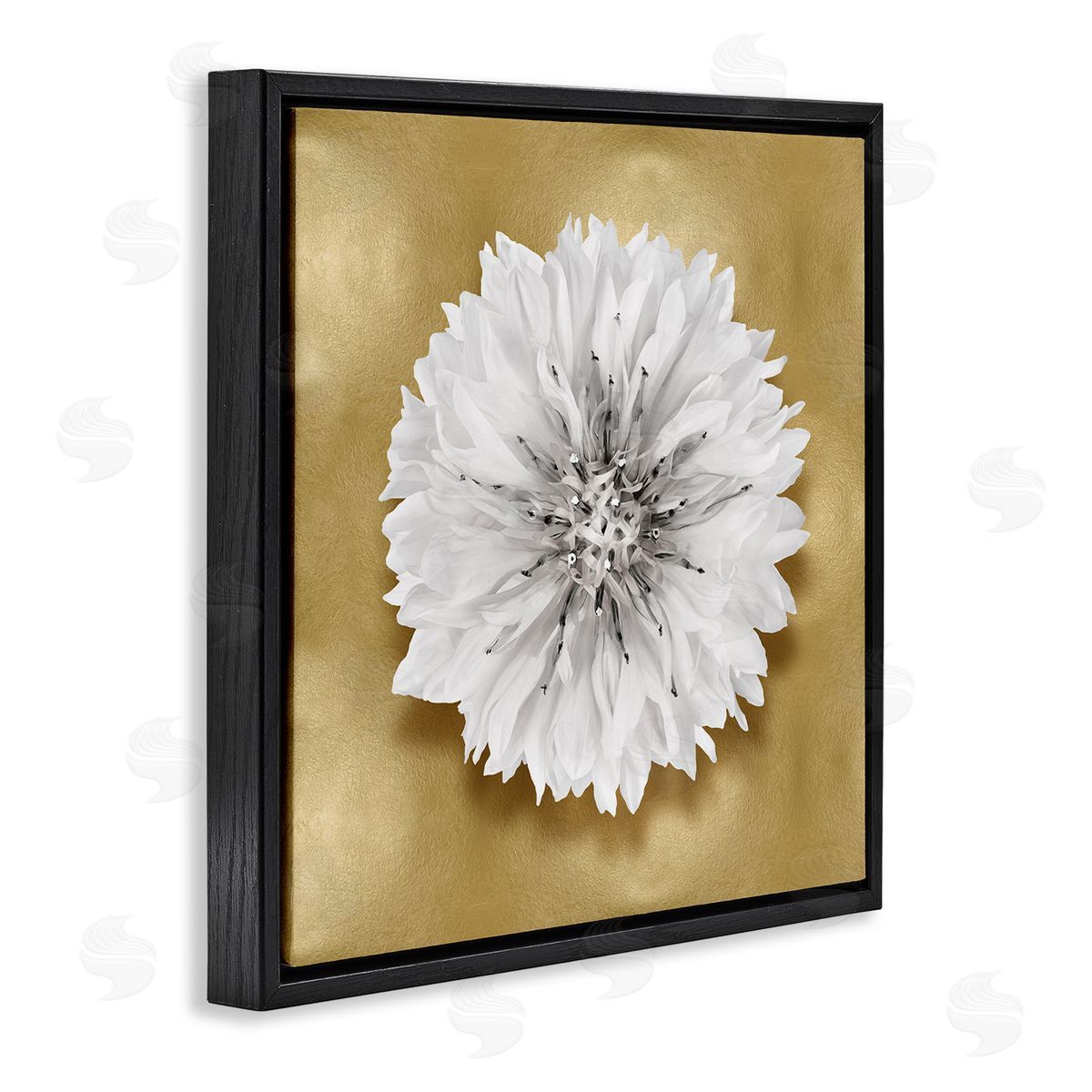 Caroline Kelly | Modern Glam Dahlia