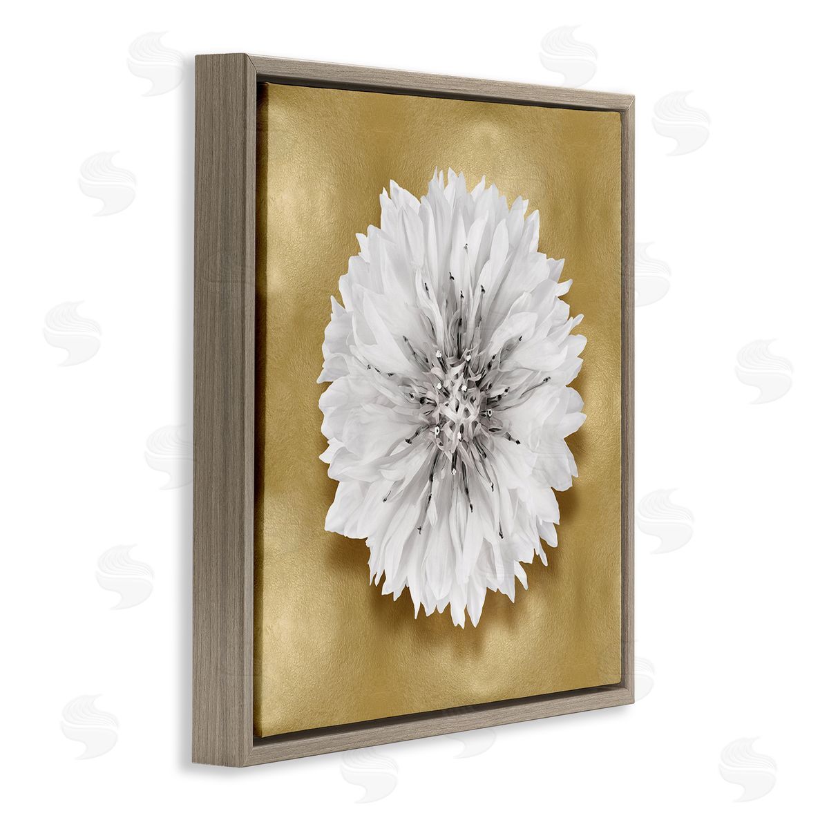 Caroline Kelly | Modern Glam Dahlia