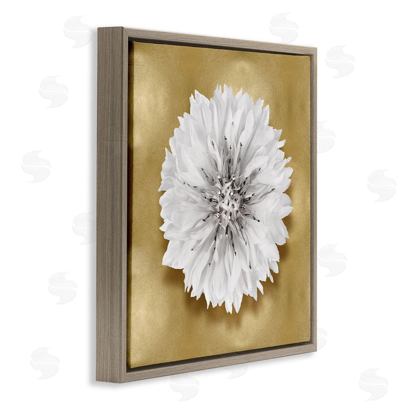 Caroline Kelly | Modern Glam Dahlia