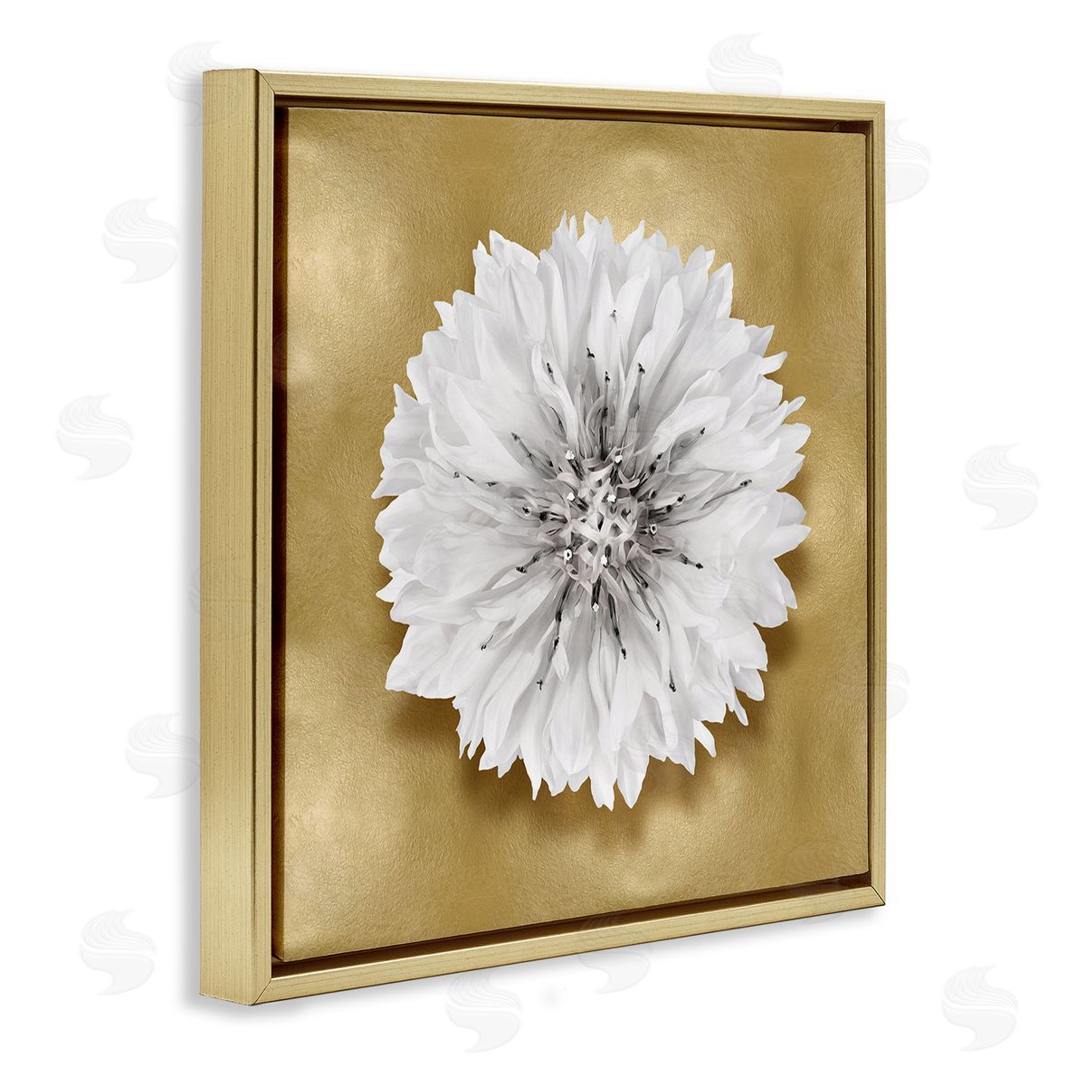 Caroline Kelly Modern Glam Dahlia Gold Floater Frame Canvas Artside_