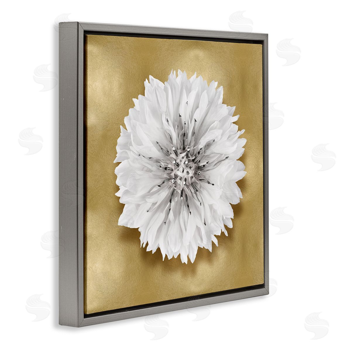 Caroline Kelly | Modern Glam Dahlia