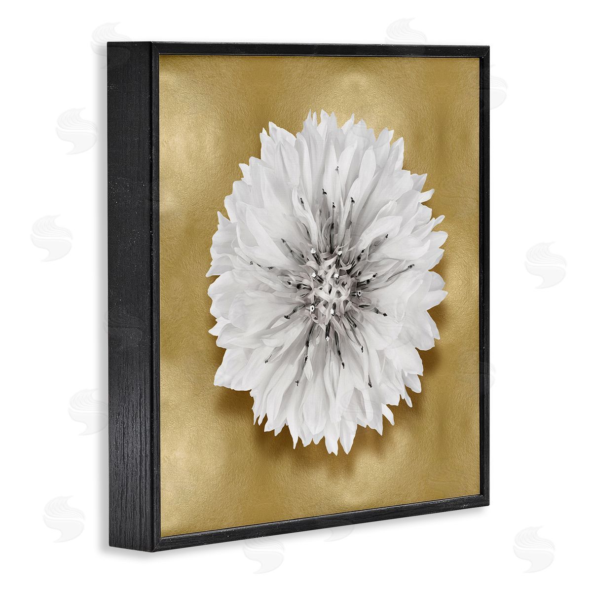 Caroline Kelly Modern Glam Dahlia Black Framed Giclee Wall Artside_