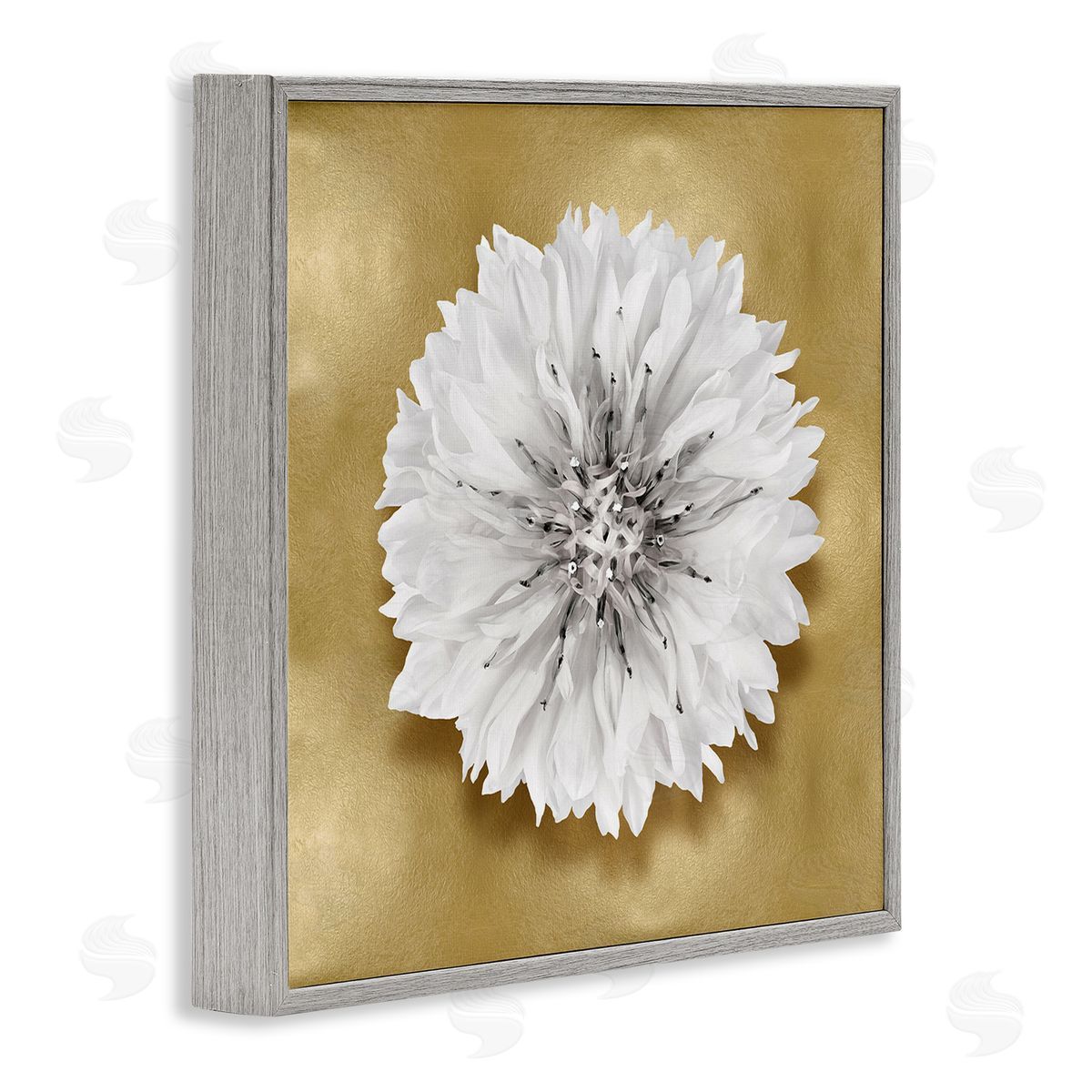 Caroline Kelly Modern Glam Dahlia Gray Framed Giclee Wall Artside_