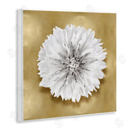 Caroline Kelly | Modern Glam Dahlia