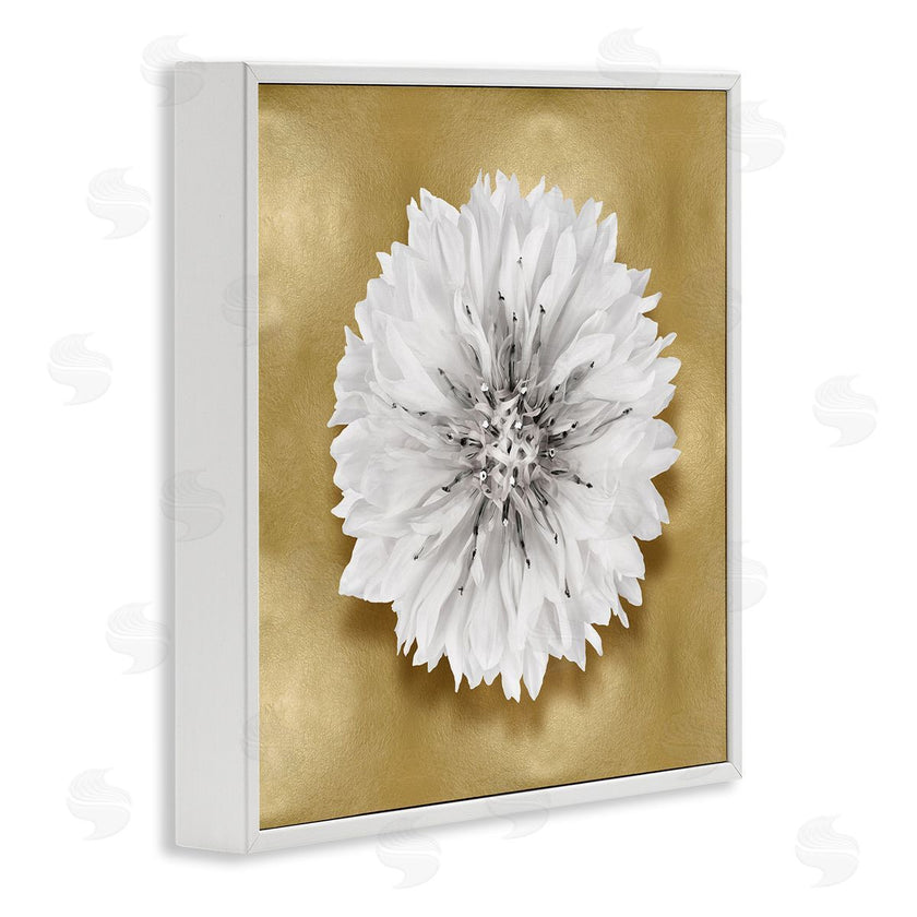 Caroline Kelly | Modern Glam Dahlia