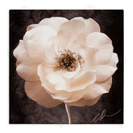 Christine Zalewski | Pink Flower Photography