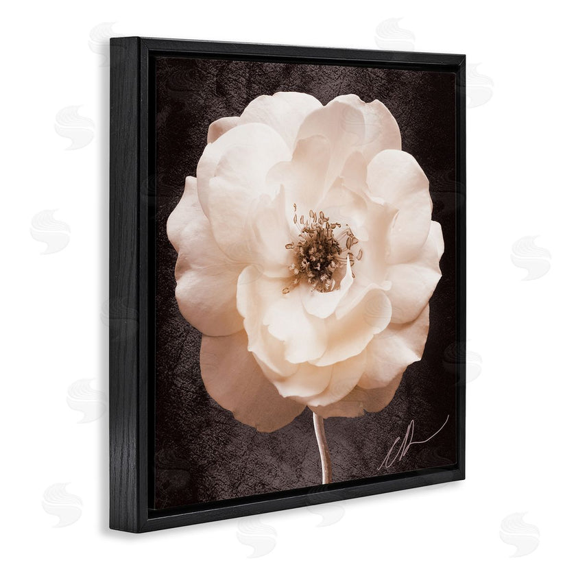 Christine Zalewski | Pink Flower Photography