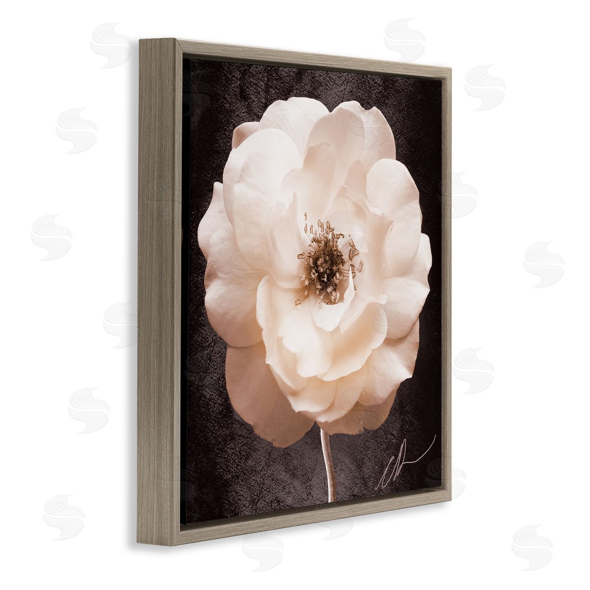 Christine Zalewski | Pink Flower Photography