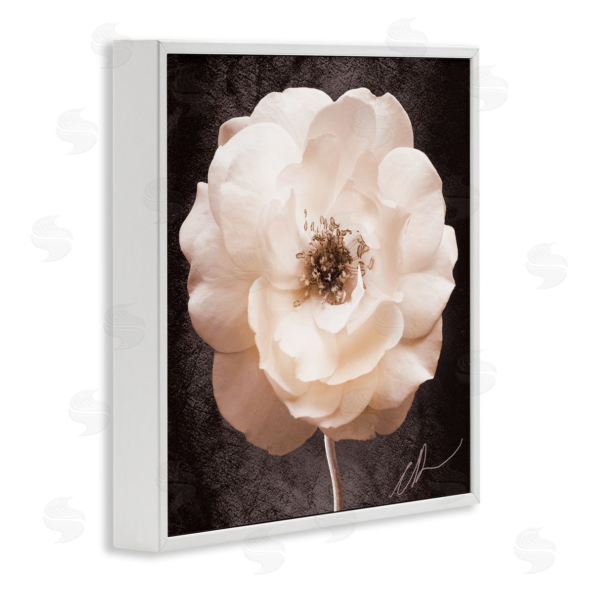 Christine Zalewski | Pink Flower Photography