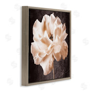 Christine Zalewski | Vintage Rose Photography