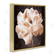 Christine Zalewski | Vintage Rose Photography