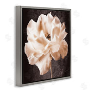 Christine Zalewski | Vintage Rose Photography