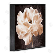 Christine Zalewski | Vintage Rose Photography