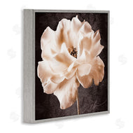 Christine Zalewski | Vintage Rose Photography