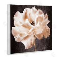 Christine Zalewski | Vintage Rose Photography