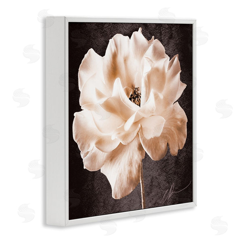 Christine Zalewski | Vintage Rose Photography