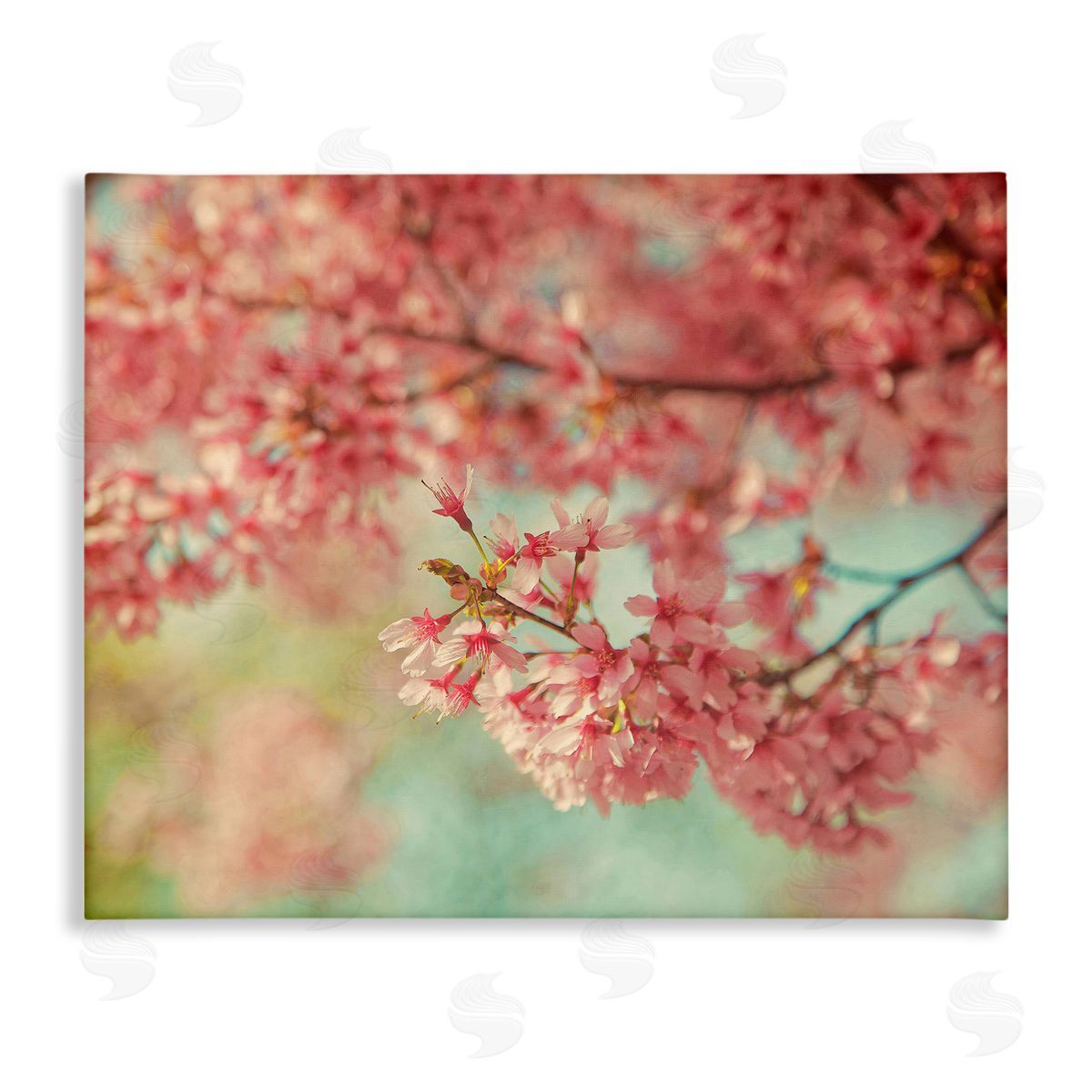 Carrie Ann Grippo-Pike Pink Cherry Blossoms Canvas Wall Art