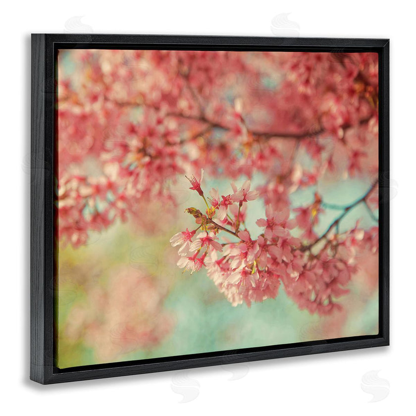 Carrie Ann Grippo-Pike | Pink Cherry Blossoms