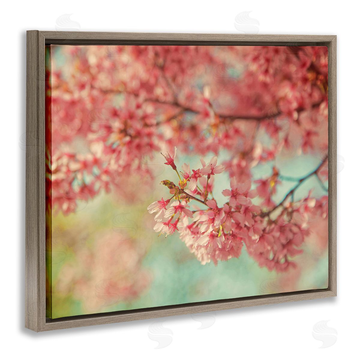 Carrie Ann Grippo-Pike Pink Cherry Blossoms Brown Floater Frame Canvas Artside_