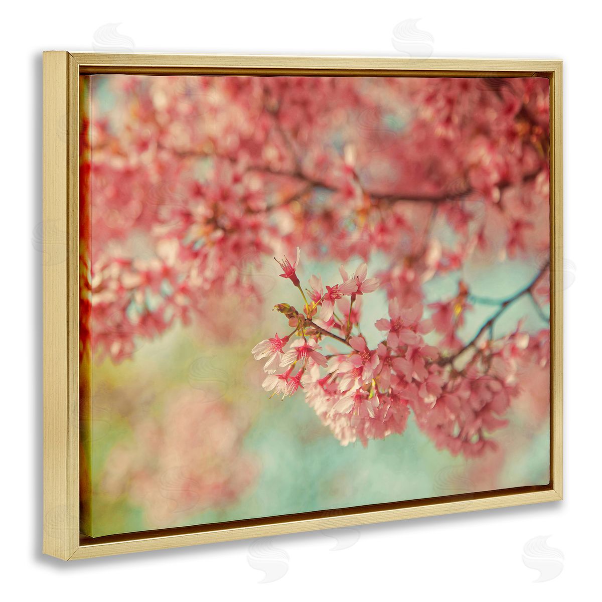 Carrie Ann Grippo-Pike Pink Cherry Blossoms Gold Floater Frame Canvas Artside_