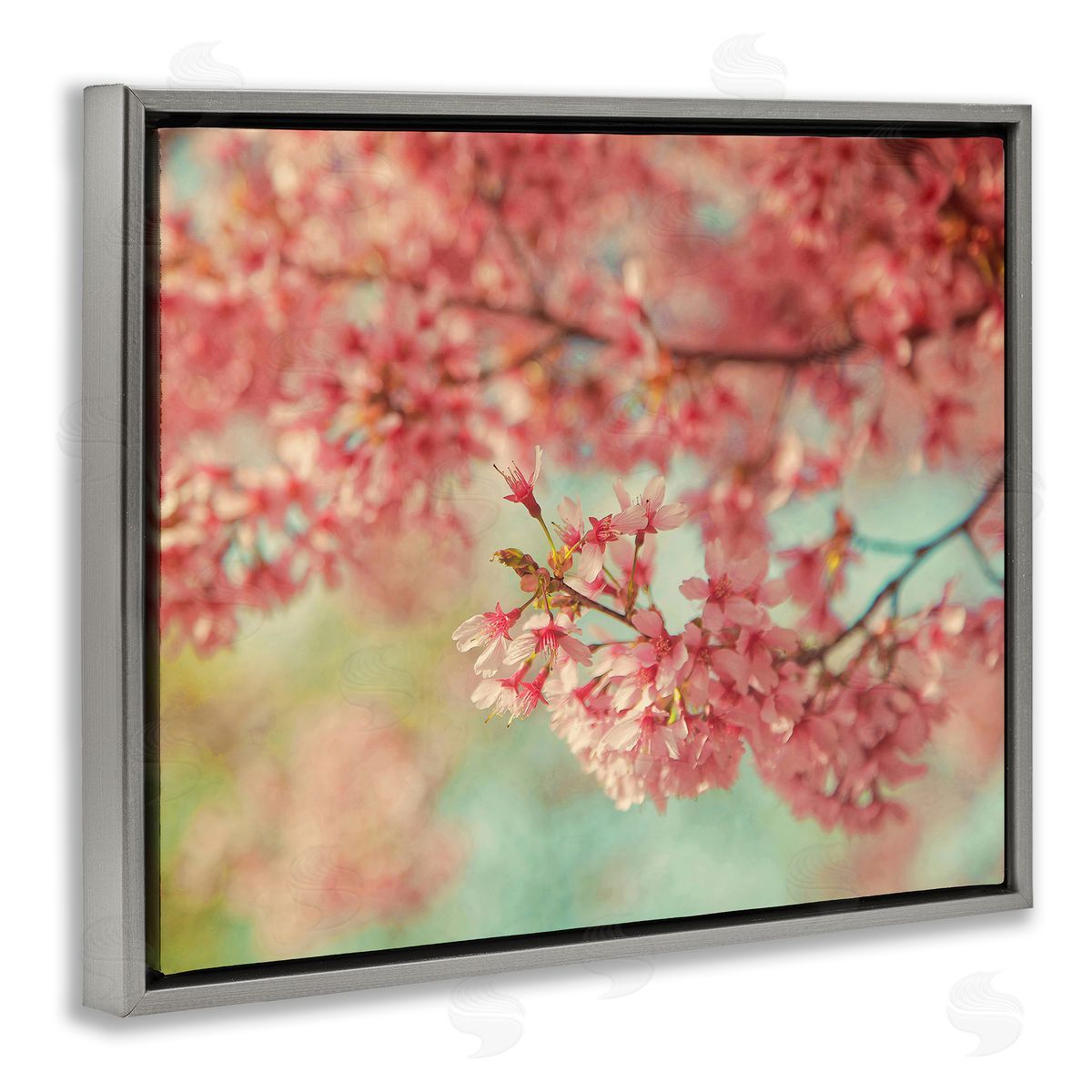 Carrie Ann Grippo-Pike Pink Cherry Blossoms Gray Floater Frame Canvas Artside_