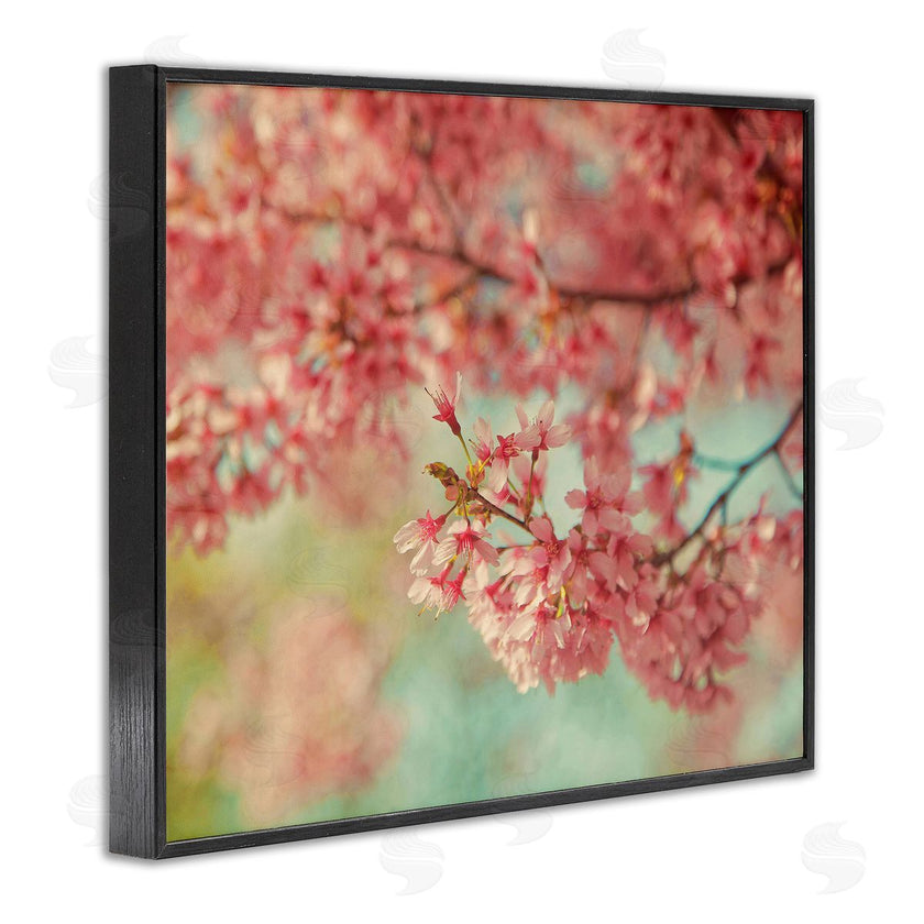 Carrie Ann Grippo-Pike | Pink Cherry Blossoms
