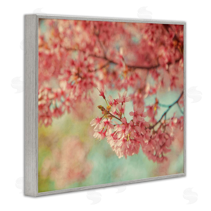 Carrie Ann Grippo-Pike | Pink Cherry Blossoms