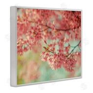 Carrie Ann Grippo-Pike | Pink Cherry Blossoms