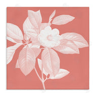 Andrea Haase | Pink & White Floral
