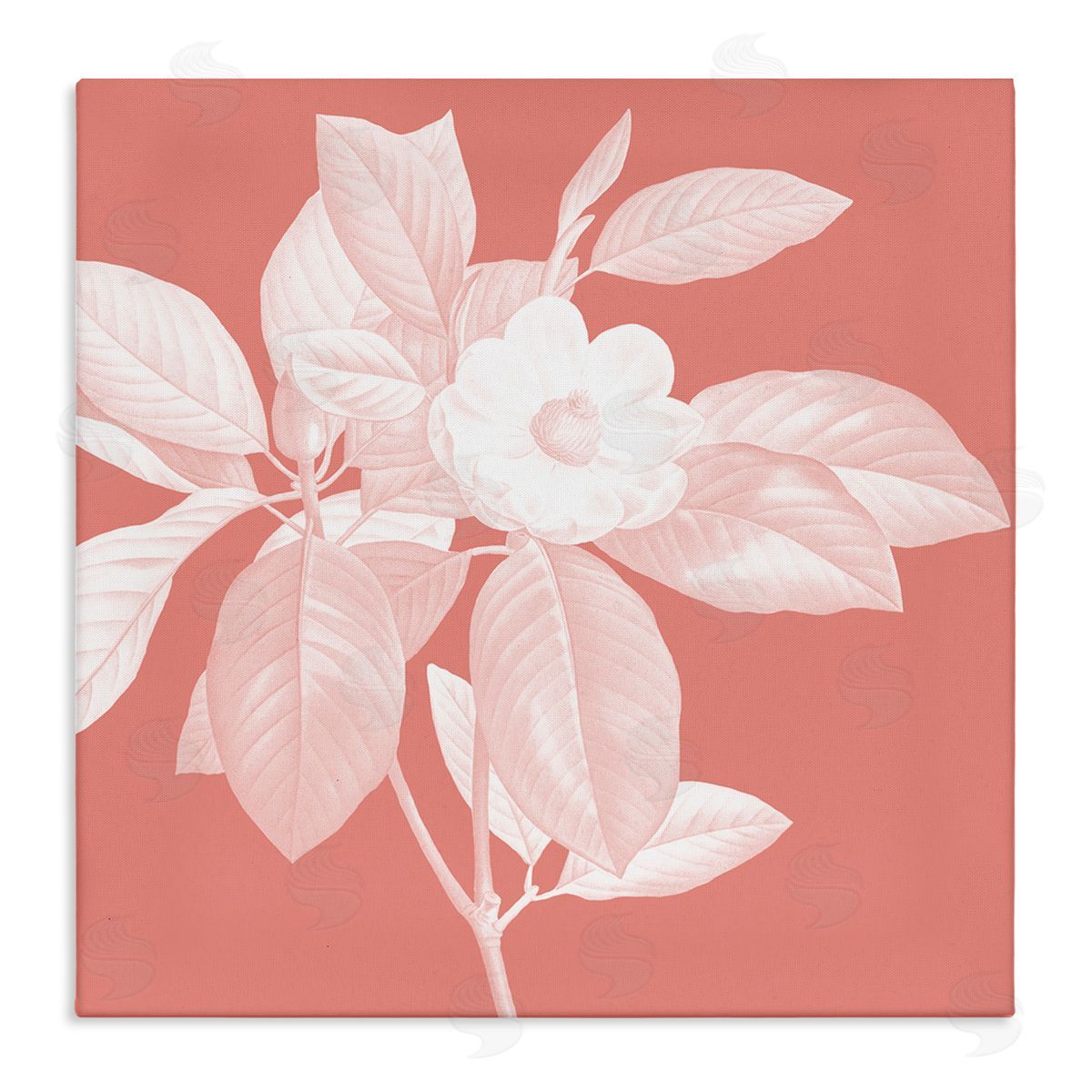 Andrea Haase | Pink & White Floral