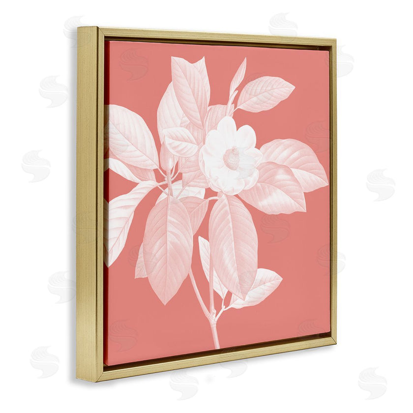 Andrea Haase | Pink & White Floral