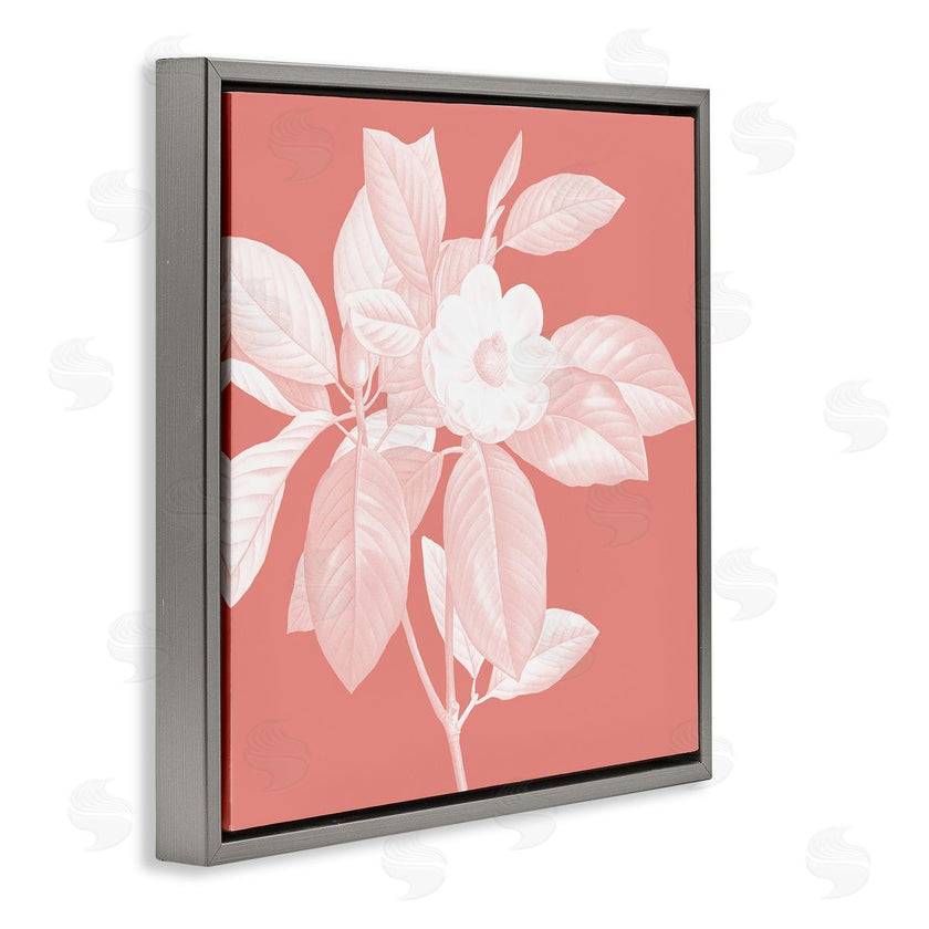 Andrea Haase | Pink & White Floral