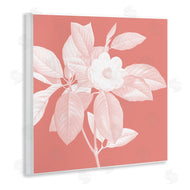 Andrea Haase | Pink & White Floral
