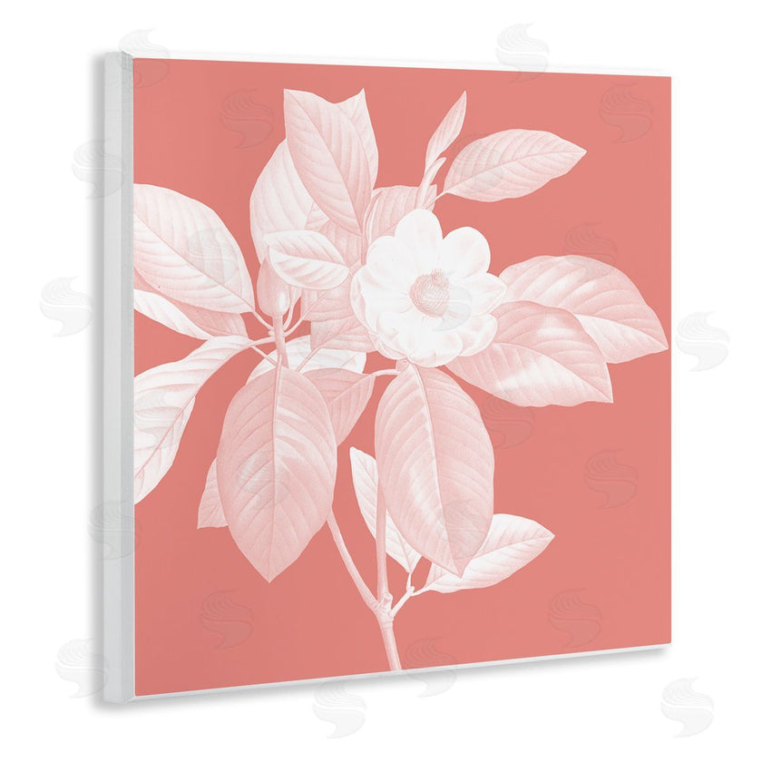 Andrea Haase | Pink & White Floral