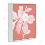 Andrea Haase | Pink & White Floral