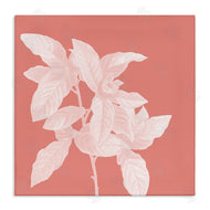 Andrea Haase | Pink & White Botanical