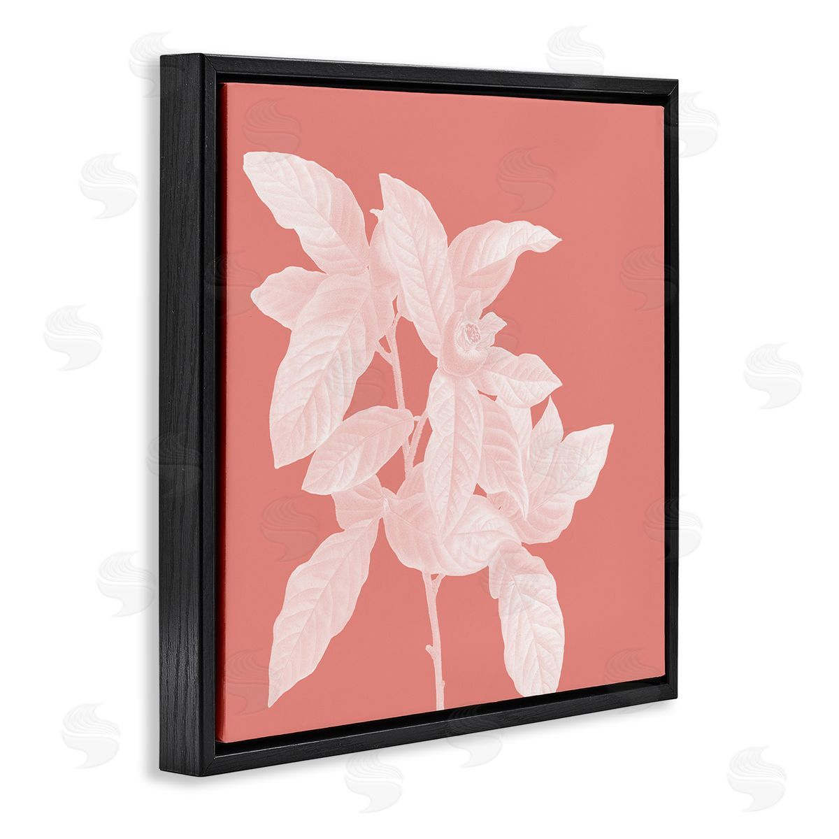 Andrea Haase | Pink & White Botanical