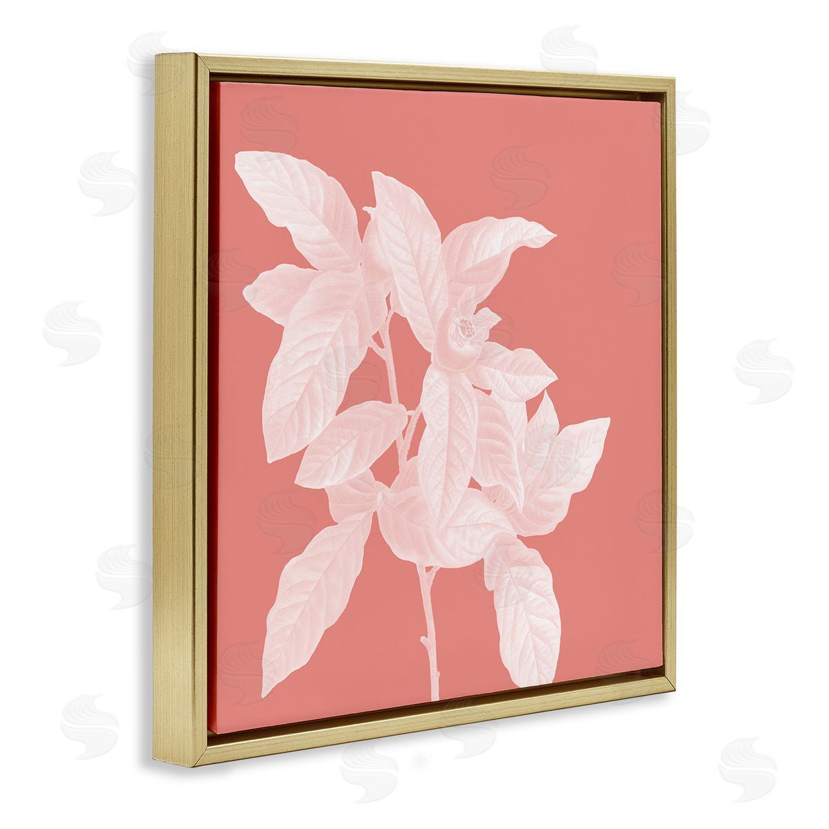 Andrea Haase | Pink & White Botanical