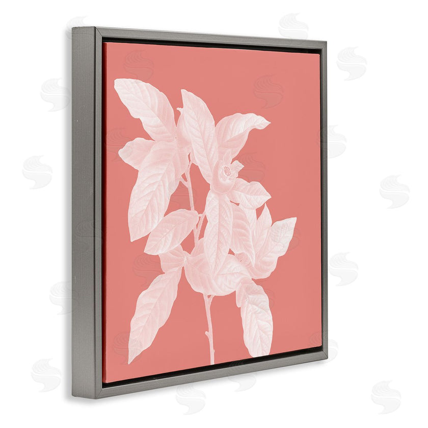 Andrea Haase | Pink & White Botanical